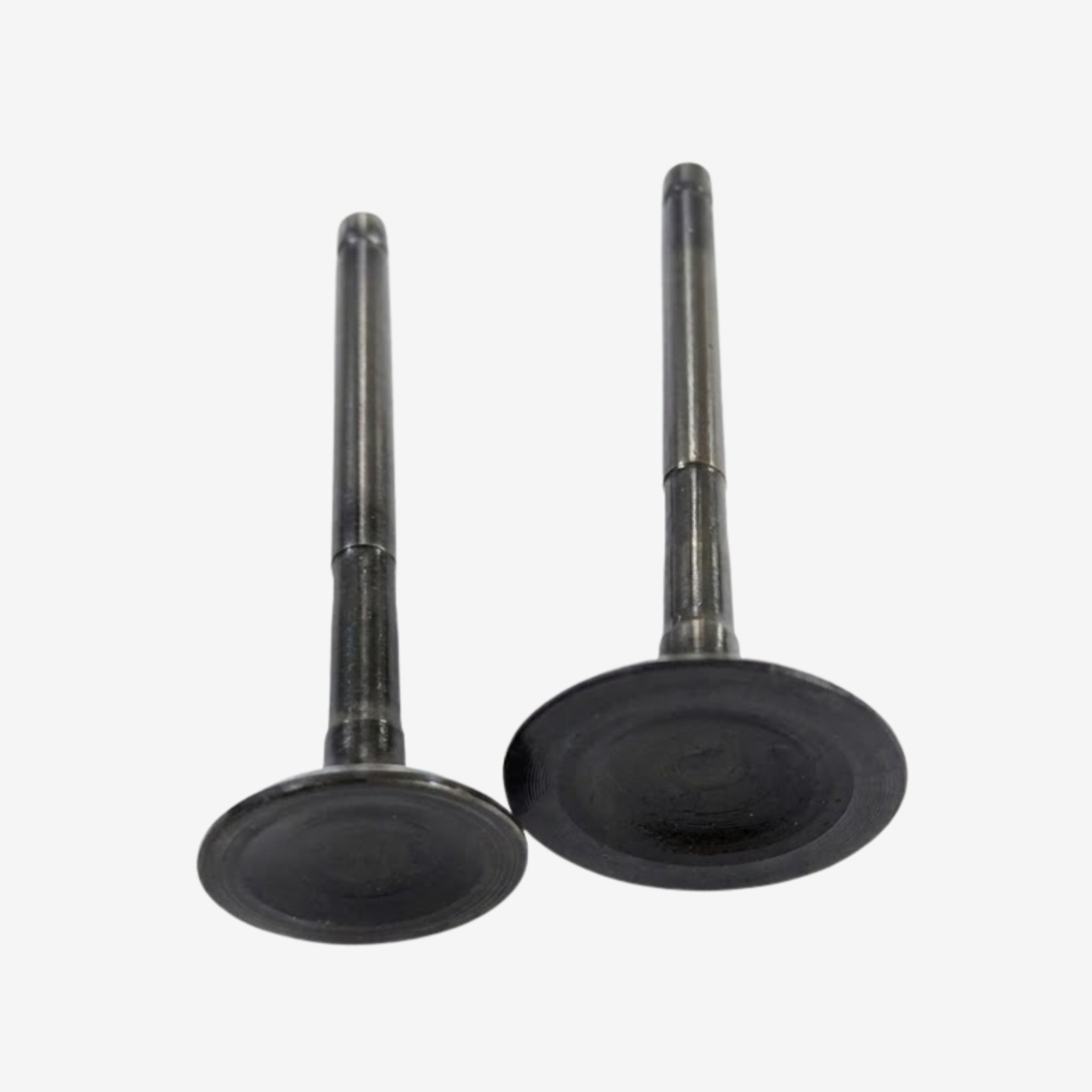 KIT DE VALVULAS 4T 205