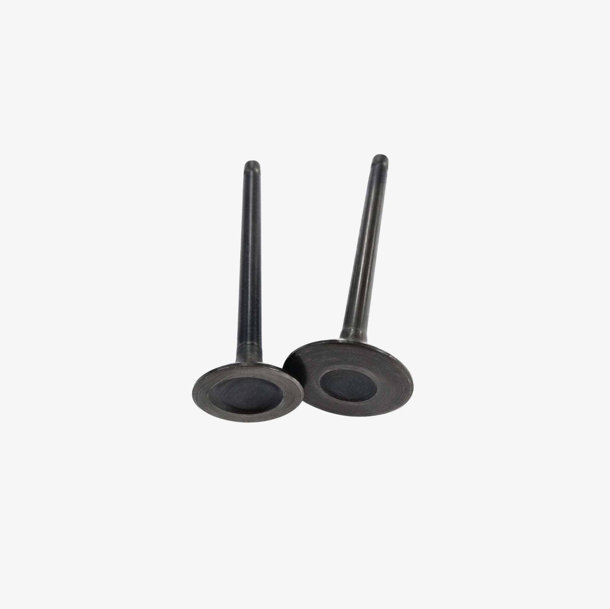 KIT DE VALVULAS 4T 175