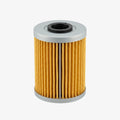 FILTRO DE ACEITE DE MOTOR TVS KING TM